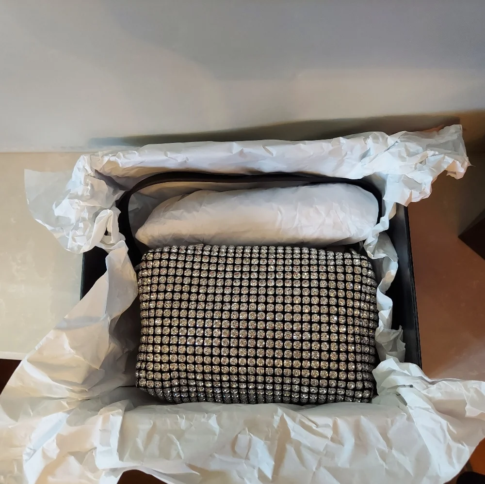 Alexander Wang Heiress rhinestone pouch - Picture 8 of 11